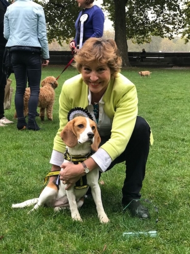 Westminster Dog of the Year