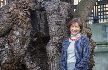 Taunton Deane MP Rebecca Pow anounces measures to further protect ancient woodland. Photo: Nikki Powell